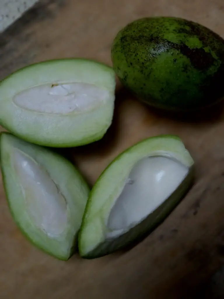 Resepi Lemak Cili Api Telur Itik Mangga Muda Resepi Masakan Kampung Resepimy 2945