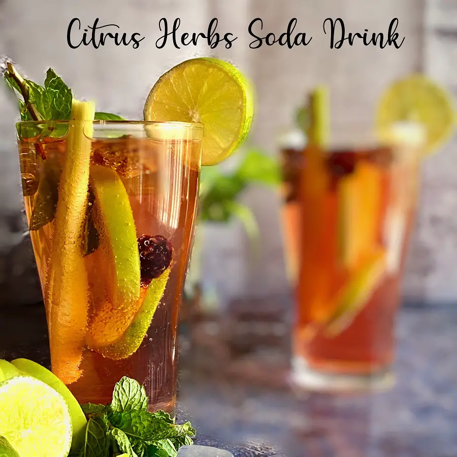 Resepi Citrus Herbs Soda Drinks (Segar Menyegarkan) 1