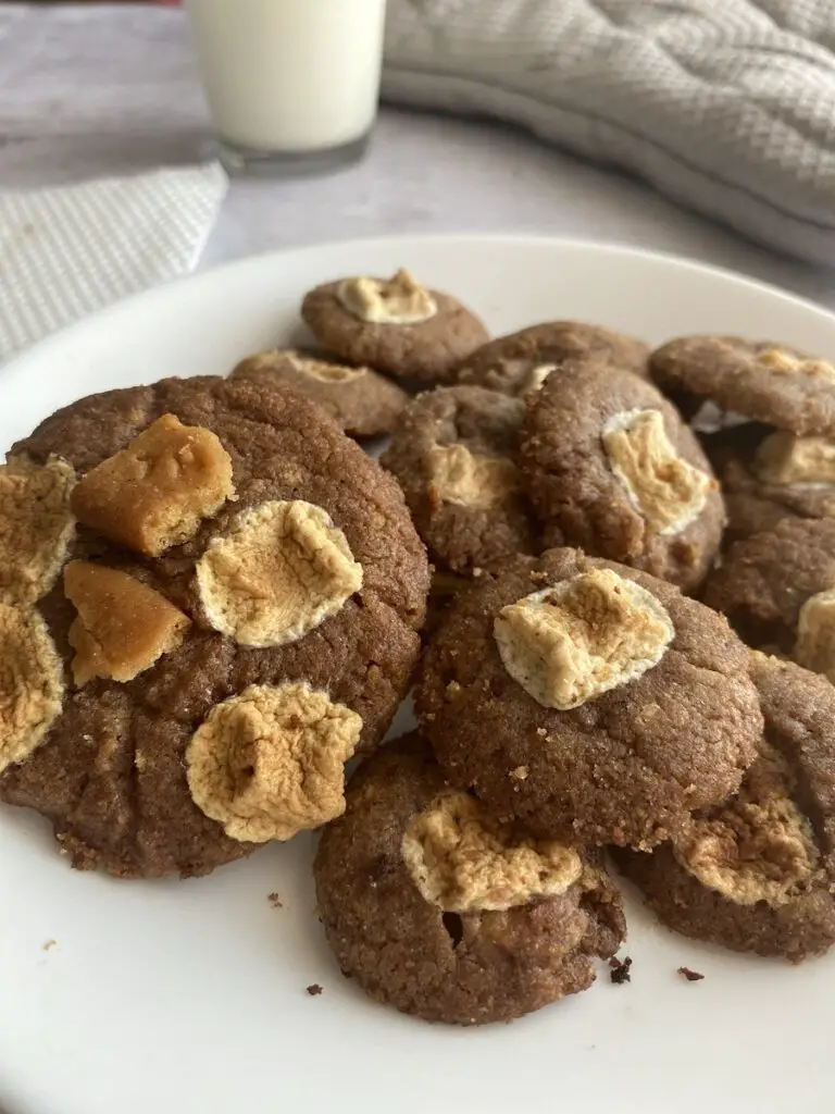 resepi chocolate chip cookies