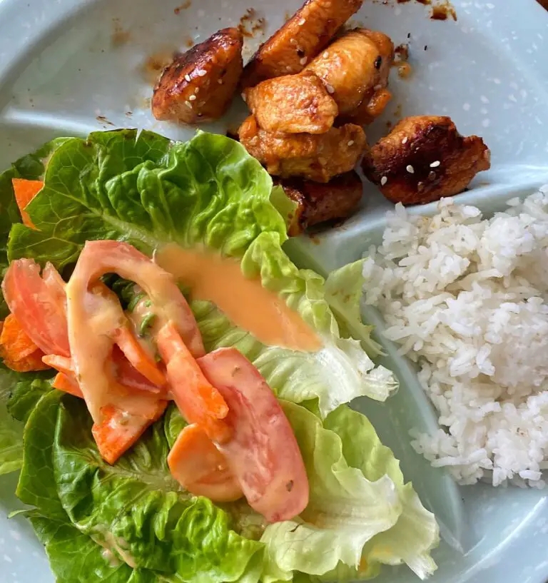 Resepi Ayam Teriyaki Makanan Jepun Yang Paling Senang