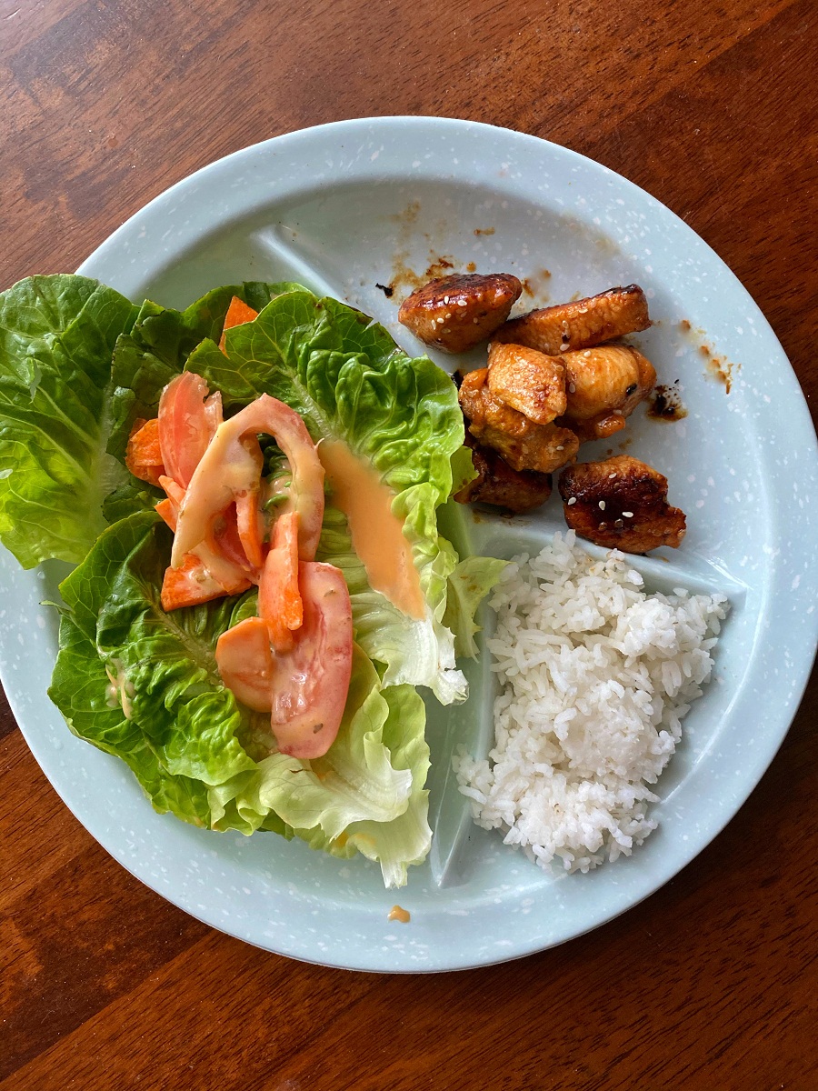 Resepi Ayam Teriyaki Makanan Jepun Yang Paling Senang 2