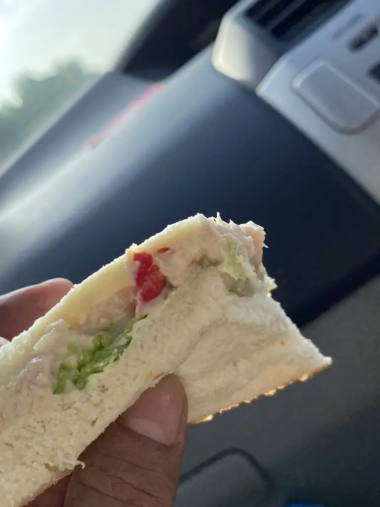 Resepi Sandwich Special Tuna Pedas Giler Berpinar Kepala