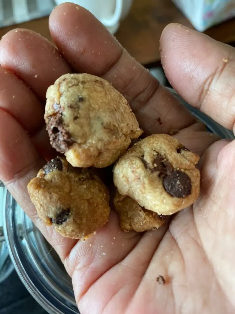 Resepi Biskut Mini Choc Chip Buat Kudapan Atau Rendam Dengan Susu Segar Pon Sedap