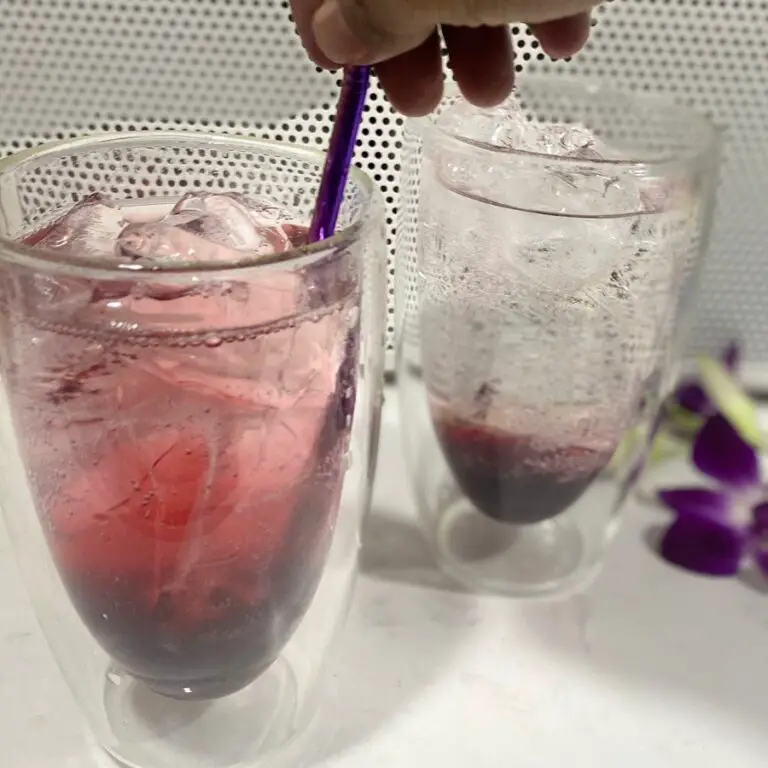 Resepi Ribena Soda 2 Bahan Je Penghilang Dahaga Musim Panas