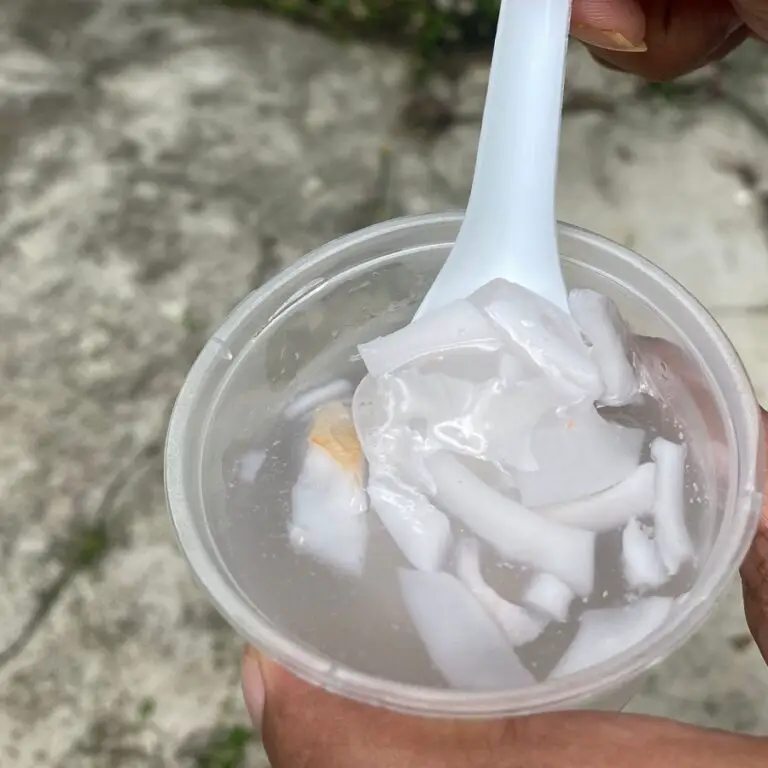 Resepi Jeli Kelapa Goyang Masak Mulut Terus Hilang